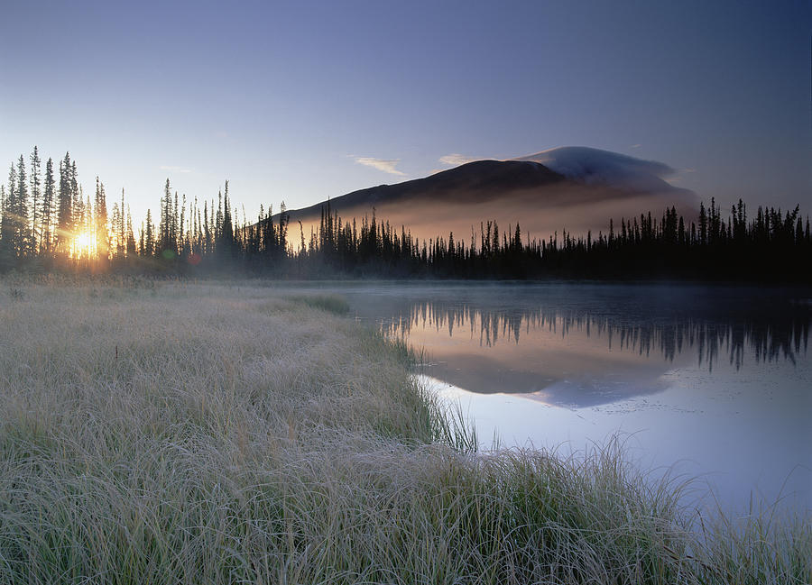Nisling Range Yukon Territory Canada Photograph by Tim Fitzharris