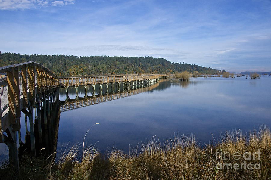 Nature Photograph - Nisqually Boardwalk by Sean Griffin