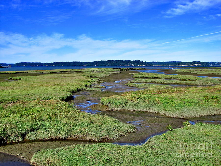 Nisqually Estuary at Low Tide Photograph by Sean Griffin