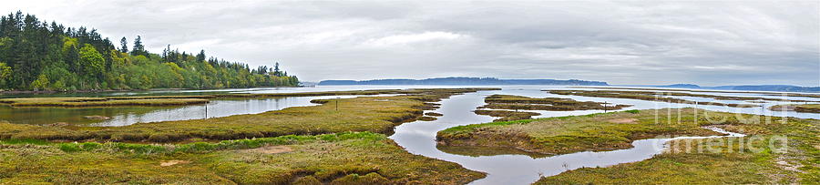 Nisqually Estuary Panorama Photograph by Sean Griffin