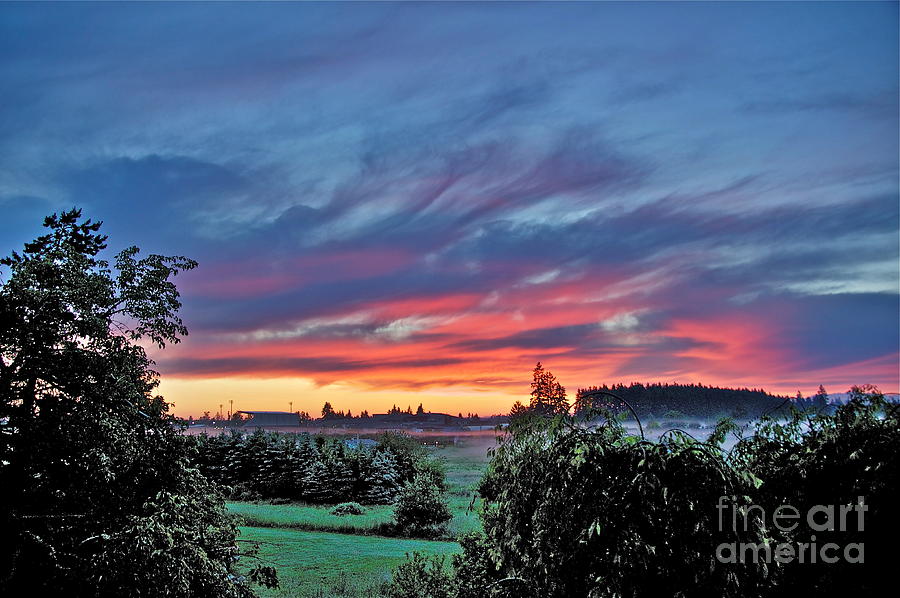 Nisqually Valley Sunrise Photograph by Sean Griffin