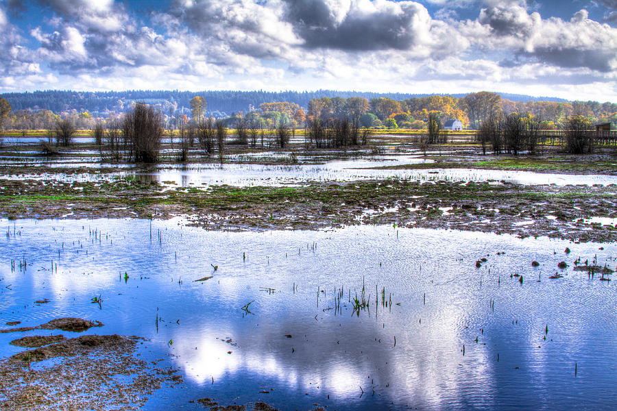 Nisqually Wildlife Refuge P13 Photograph by David Patterson