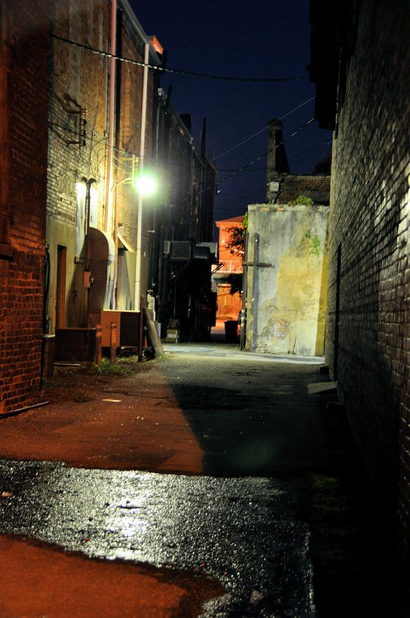 No Alley Cats Tonight Photograph by Jan Amiss Photography