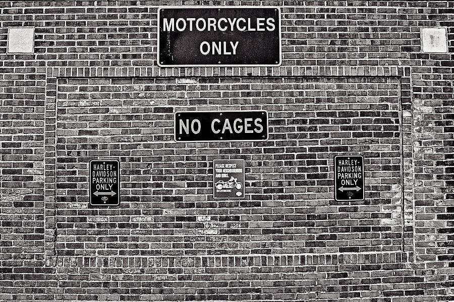 No Cages Photograph by CJ Schmit
