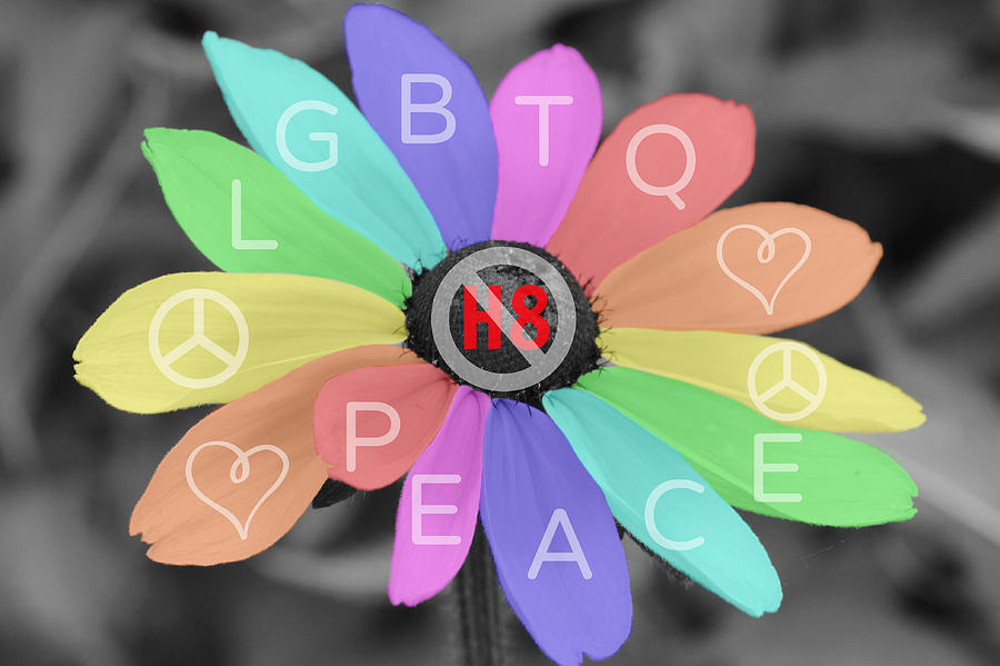 No H8 LGBTQ PEACE Photograph by Mark J Seefeldt