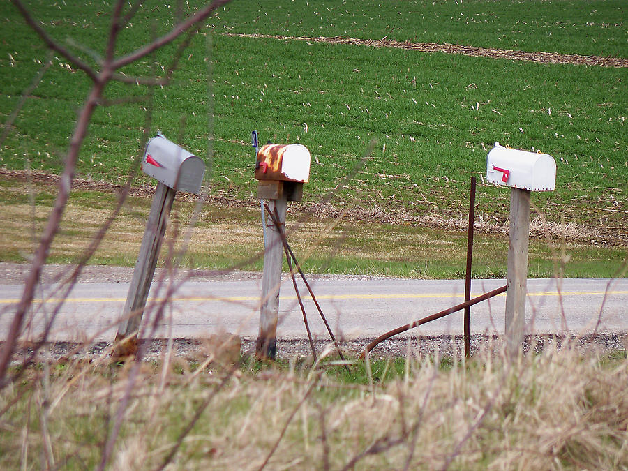 No Mail Today Photograph by Corinne Elizabeth Cowherd