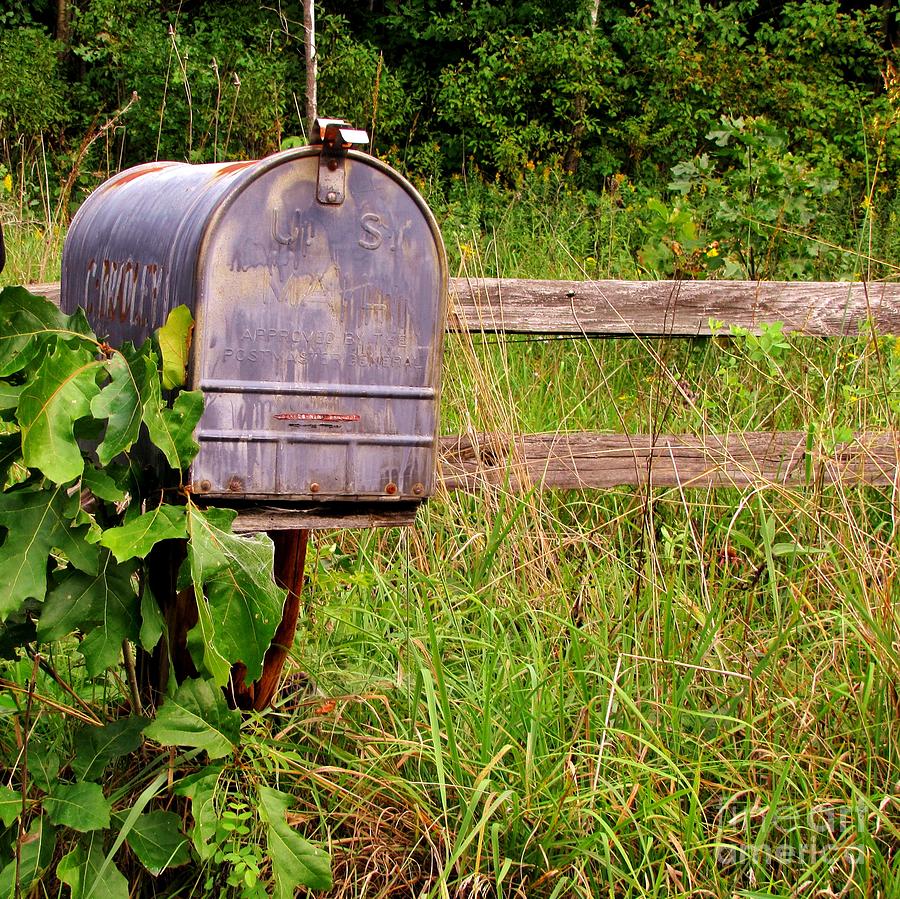 No Mail Today Photograph by Marilyn Smith