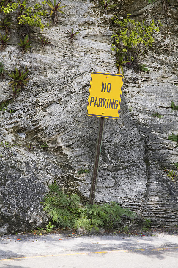 No Parking Photograph by Diane Macdonald No Parking Photograph by Diane Macdonald