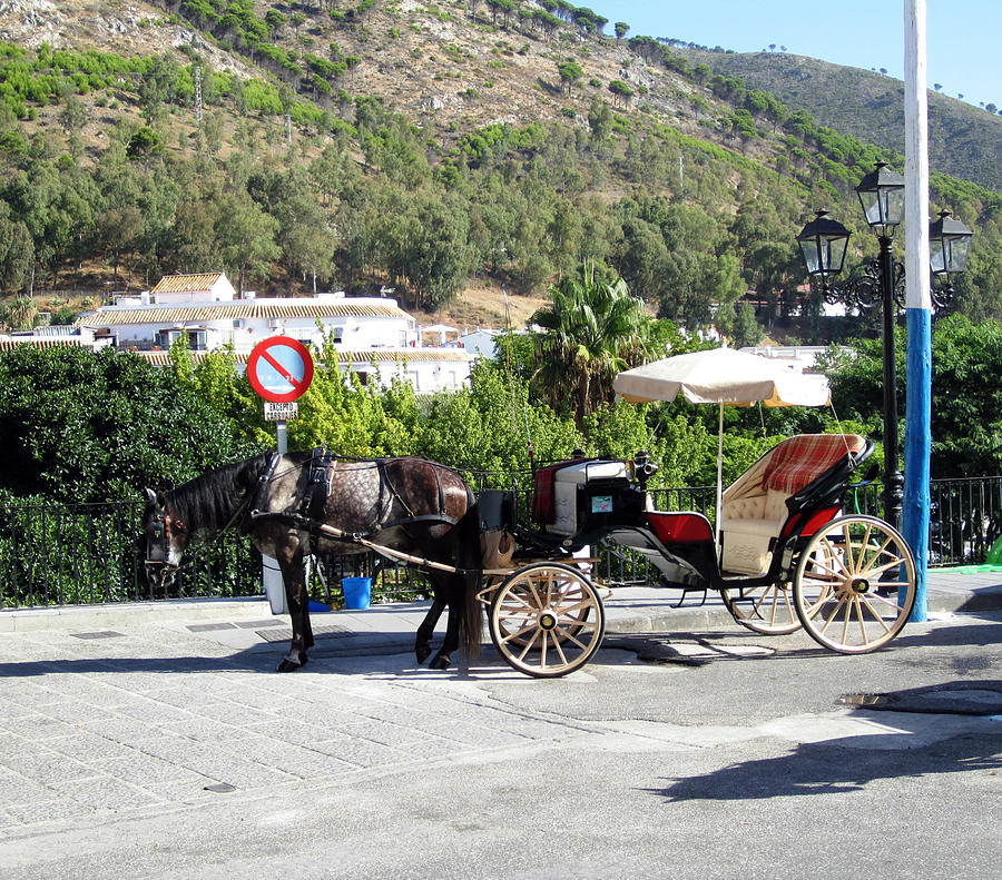 No Parking Except Horse Carriage Mijas Spain Photograph by John Shiron