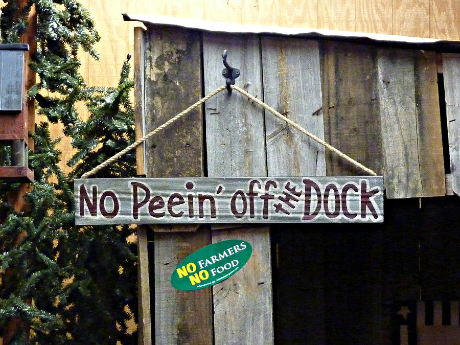 No Peein off the Dock Photograph by Jo Sheehan