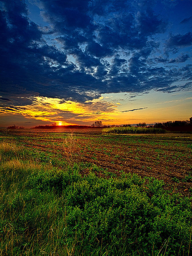 No Reservations Photograph by Phil Koch - Fine Art America