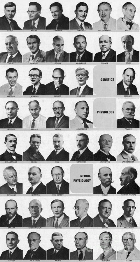 Nobel Prize Winners Photograph by Science Source