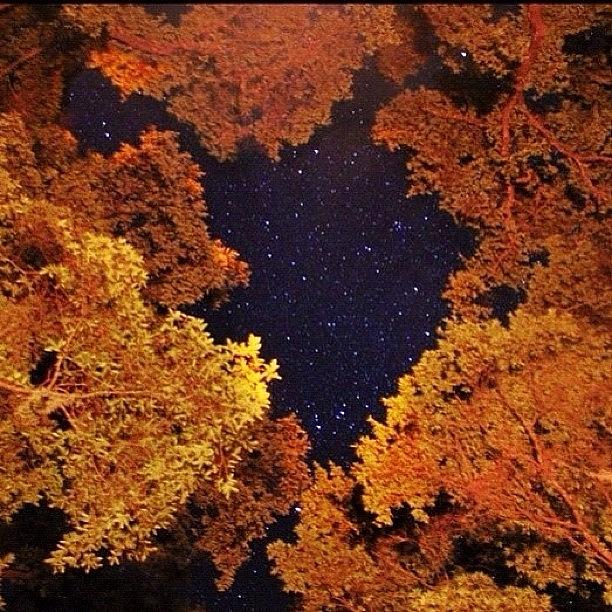 Nature Photograph - Noche De Estrellas #sierradealvarez by Alfonso Cesar