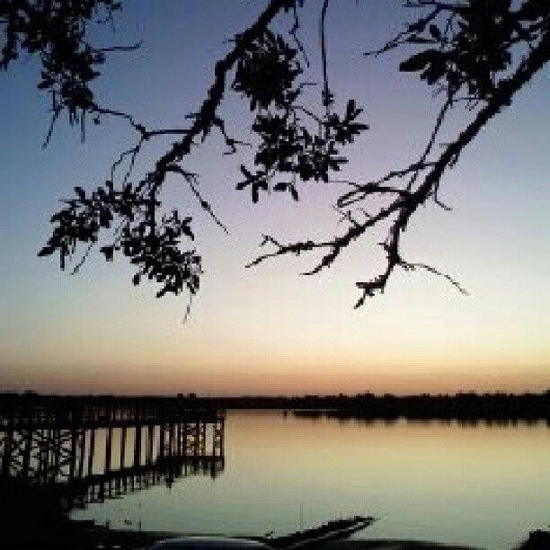 Sunset Photograph - #noedit #peaceful  #serene #water #tree by Sarah Booth