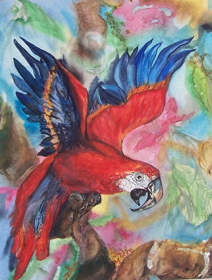 Parrot Painting - Noisy Parrott  by Phyllis Barrett