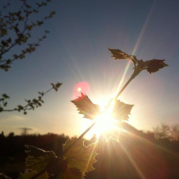 Cool Photograph - #nolimitliving #sun #behind #awesome by Kaitlin Stanton