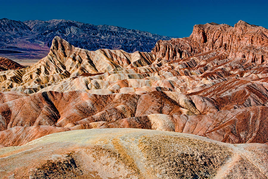 Noon at Zabriskie Point Photograph by Greg Nyquist
