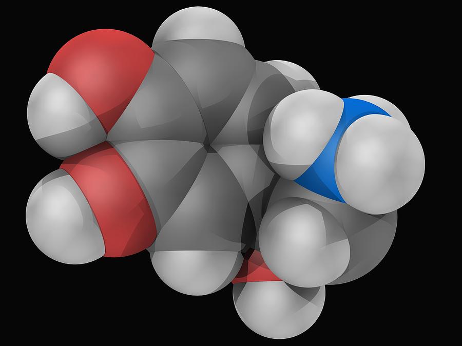 Norepinephrine Molecule Digital Art by Laguna Design
