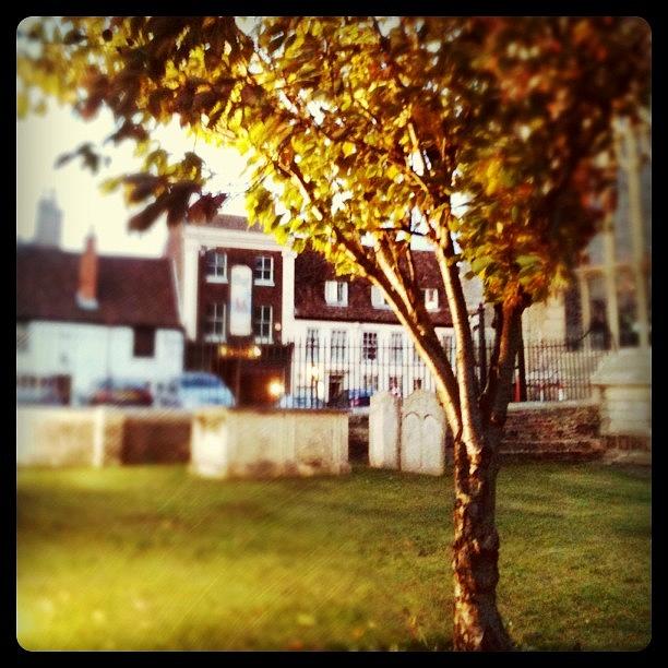 Fall Photograph - #norfolk #kingslynn #uk #churchyard by Just Berns