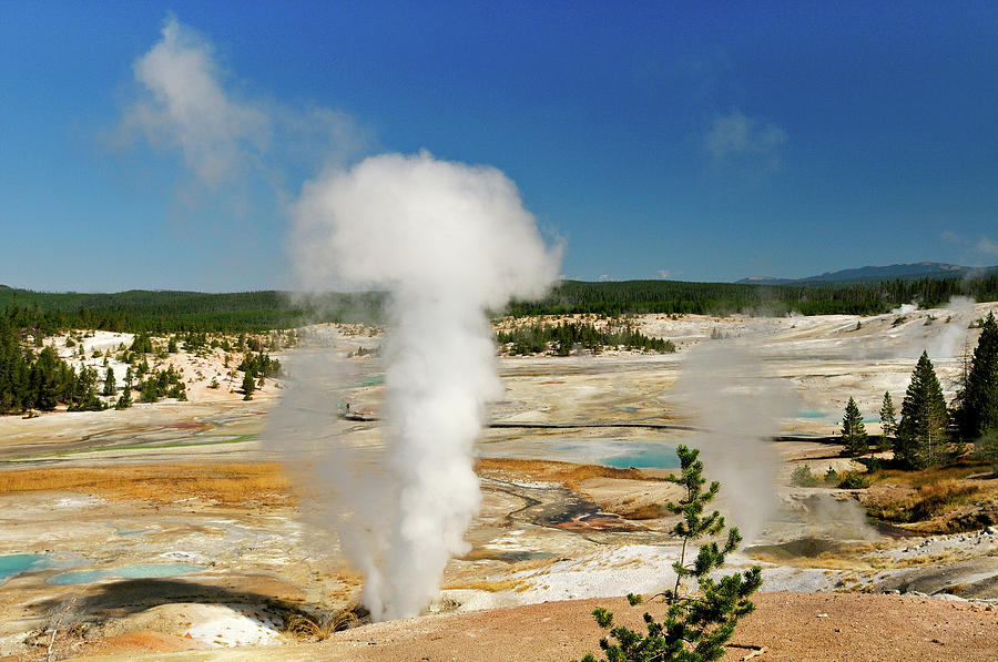 Norris Geyser Photograph by Greg Norrell