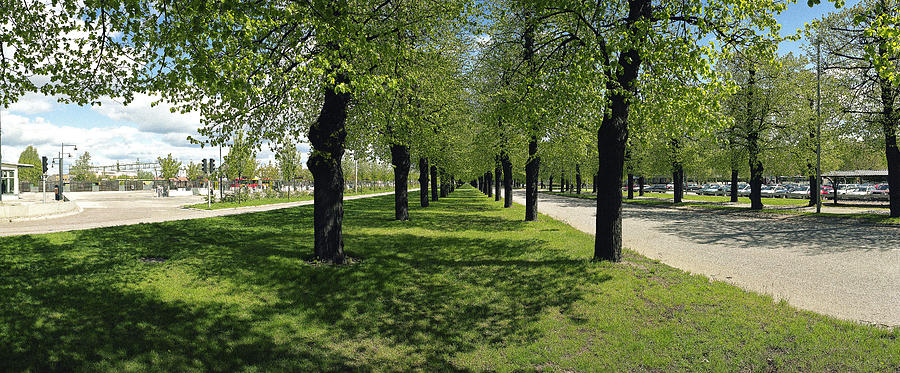 Norrkoepping Boulevard Photograph by Jan W Faul