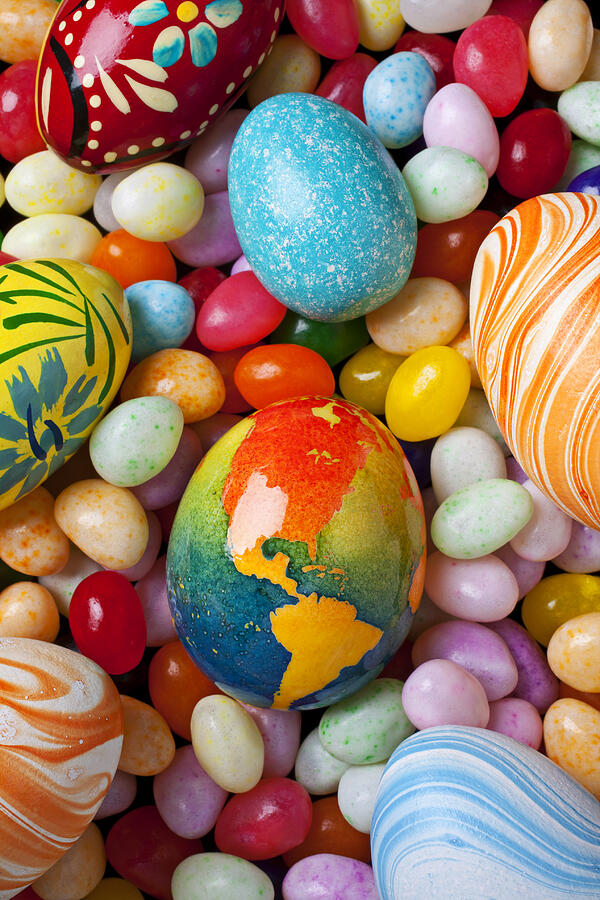 North America Easter Egg Photograph by Garry Gay