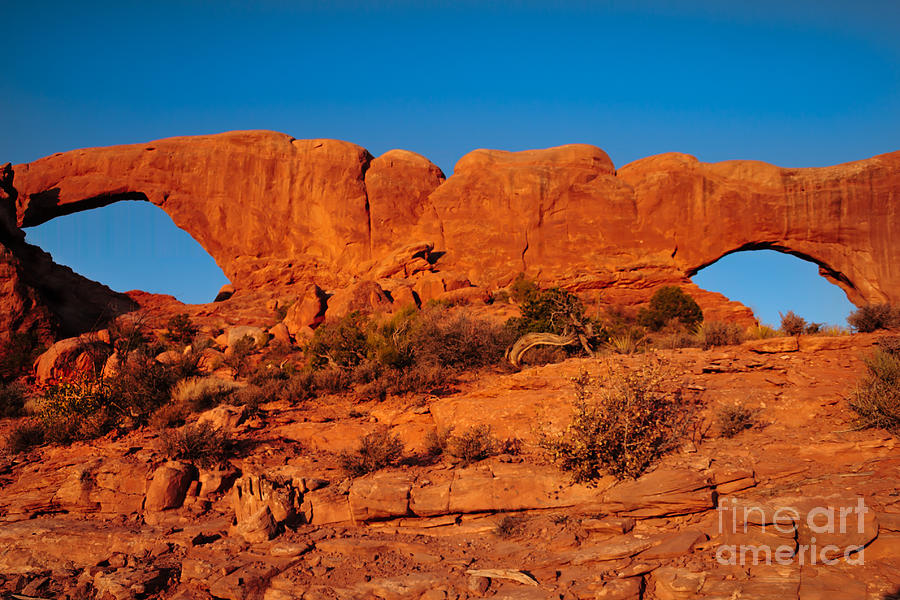 North and South Windows Photograph by Robert Bales