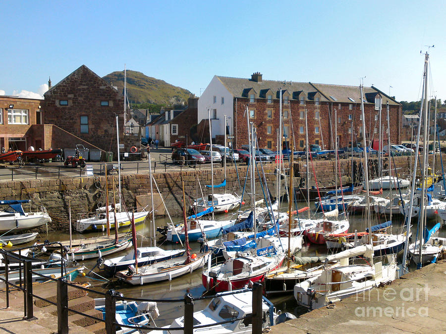 North Berwick Harbour Photograph by Yvonne Johnstone