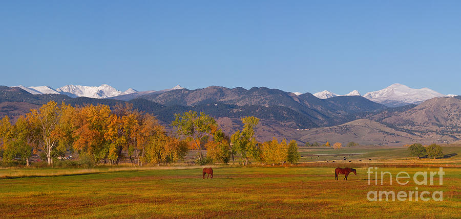 North Boulder County Colorado Front Range Panorama With Horses Photograph by James BO Insogna