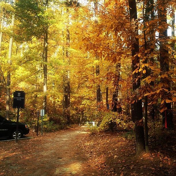 North Carolina Fall  Photograph by Haley Spitz 