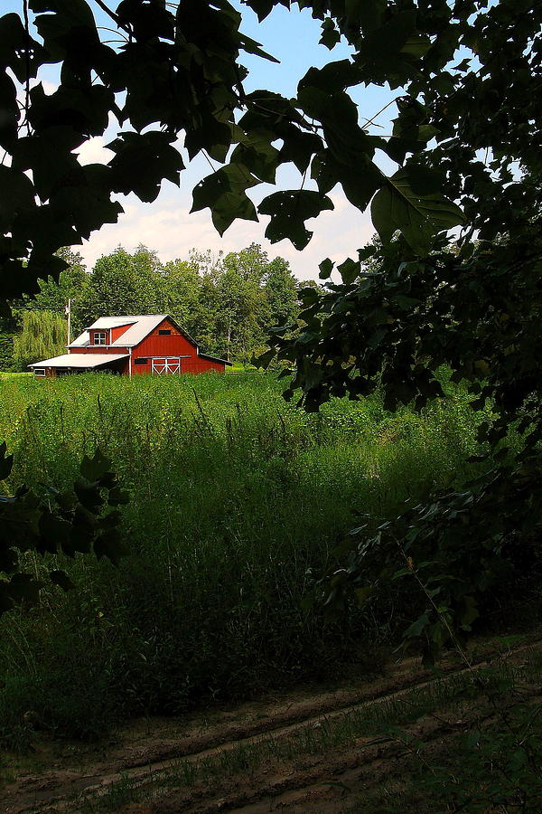 North Carolina Farm Photograph by Jeff Heimlich