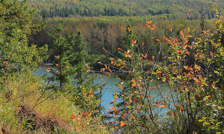 North Saskatchewan River in September Photograph by Jim Sauchyn