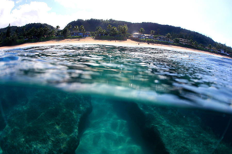 North Shore Underwater Reef by Pete Hodgson