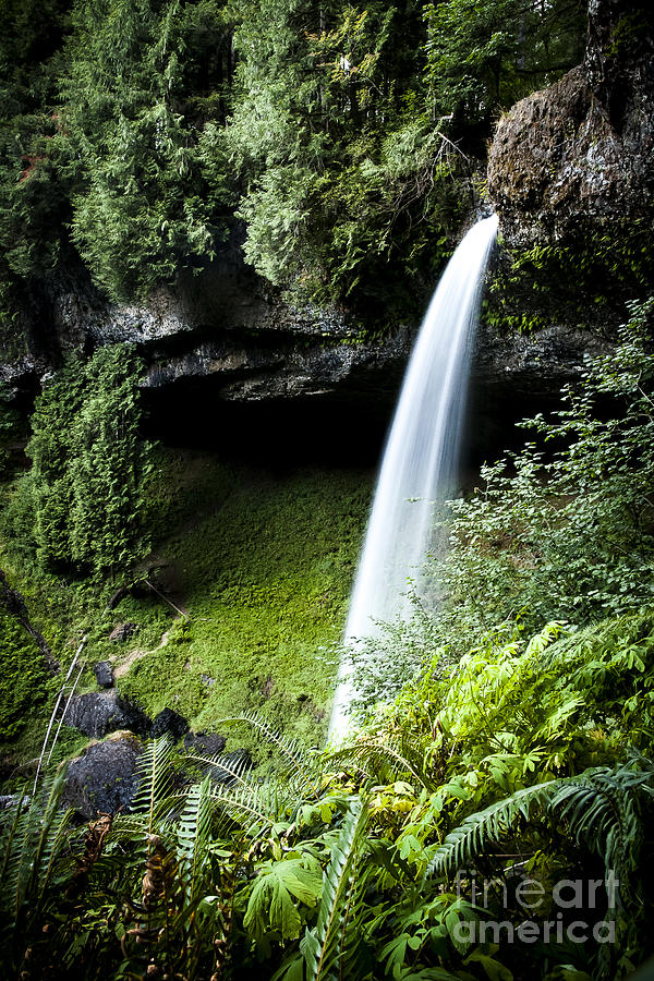 North Silver Falls Photograph by Darcy Michaelchuk