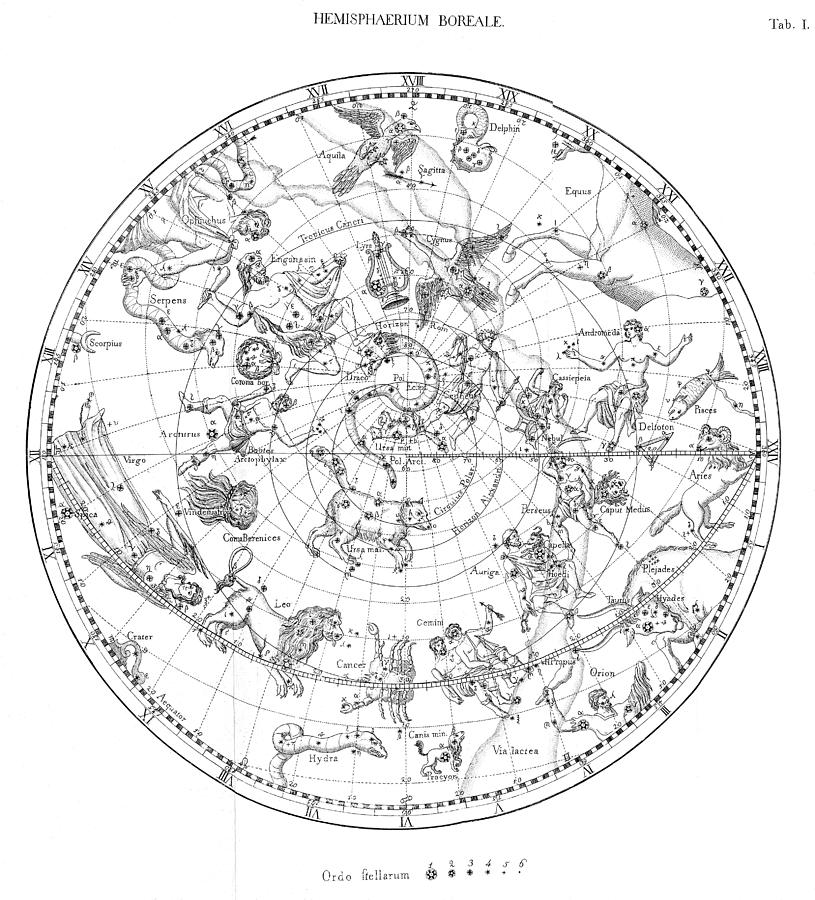 Space Photograph - Northern Celestial Map by Science, Industry & Business Librarynew York Public Library