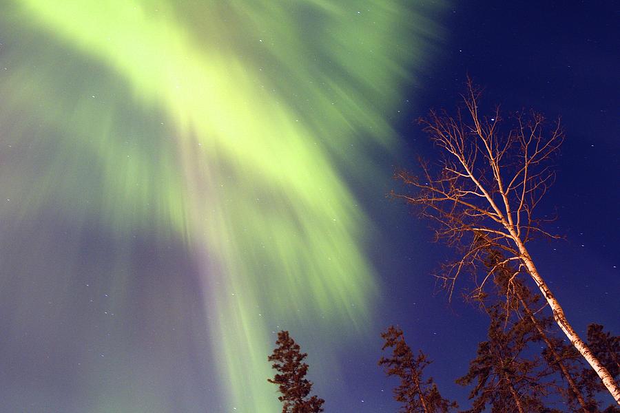 Northern Light Fall Photograph by Alanna DPhoto