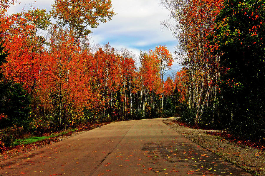 Northern Michigan Autumn 4 Photograph by Scott Hovind