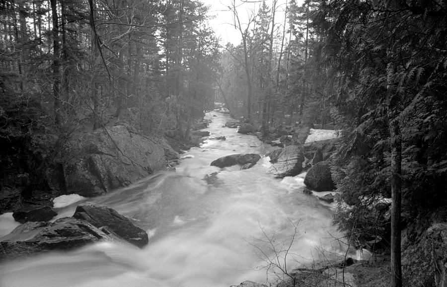 Northern River Photograph by Rick Rauzi