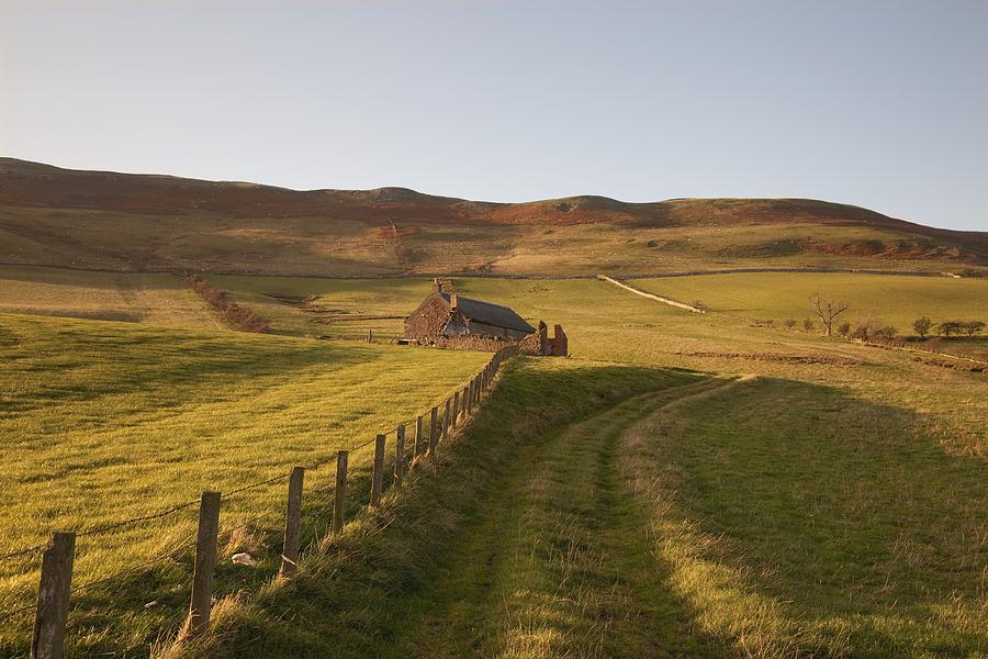 Northumberland, England A Farm Photograph by John Short