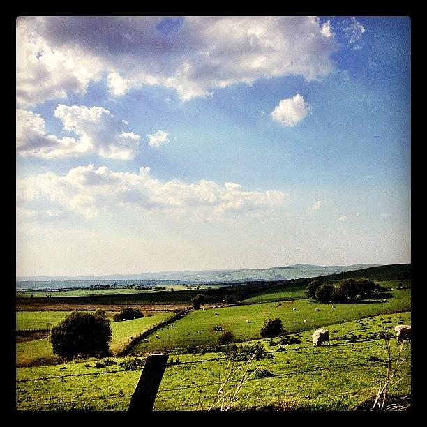 Sheep Photograph - #northwales #landscape #hill #hills by Miss Wilkinson