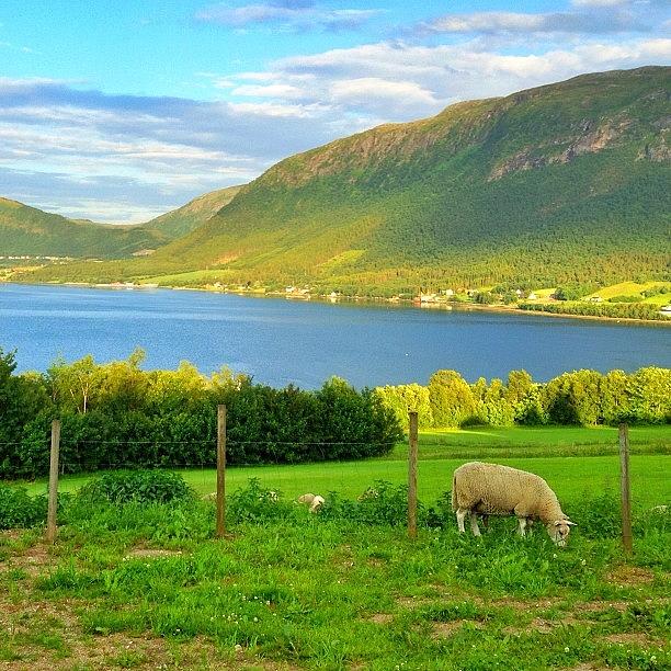 Norwegian Countryside Photograph by Ria Molde 