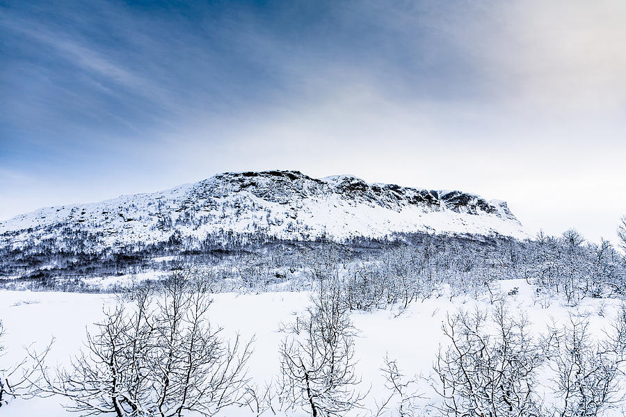 Norwegian Winter Photograph by Hakon Soreide