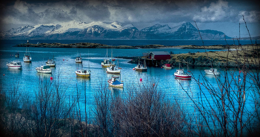 Norweigan Harbor Photograph by Craig Incardone