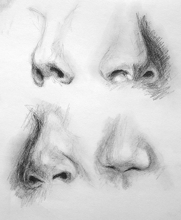 Noses Drawing by Paul Dinwiddie
