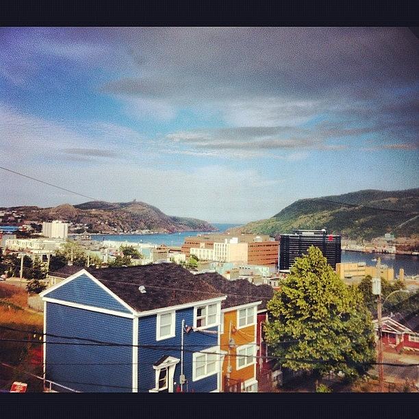 Newfoundland Photograph - Not A Bad View From My New Room! by Candice Walsh