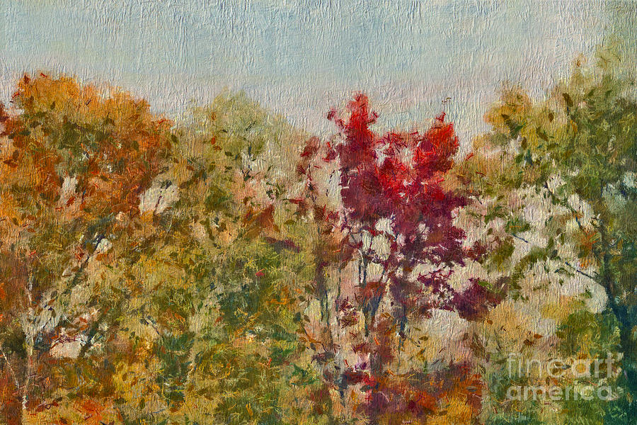 Fall Digital Art - Not Just Some Other Autumn Trees by Aimelle Ml