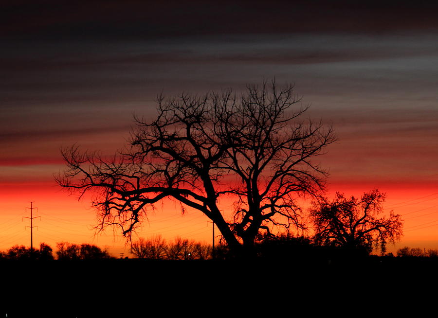 Not Quite Sunrise Photograph by Trent Mallett