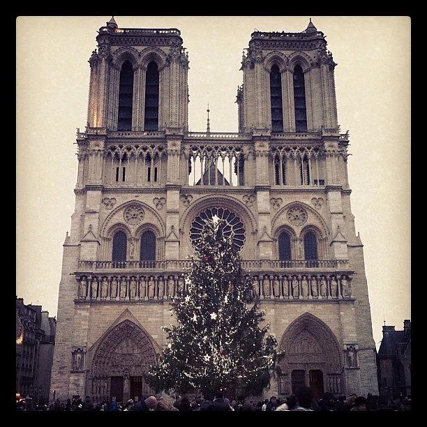 Paris Photograph - Notre Dame @ Christmas by Quique Alicante