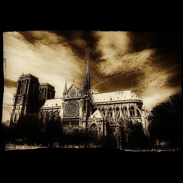 Notre Dame Photograph by Alice Turner