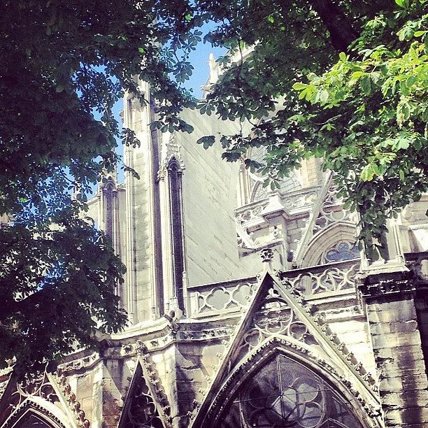 Notre Dame Architecture Is Amazing Photograph by Ellie Susko
